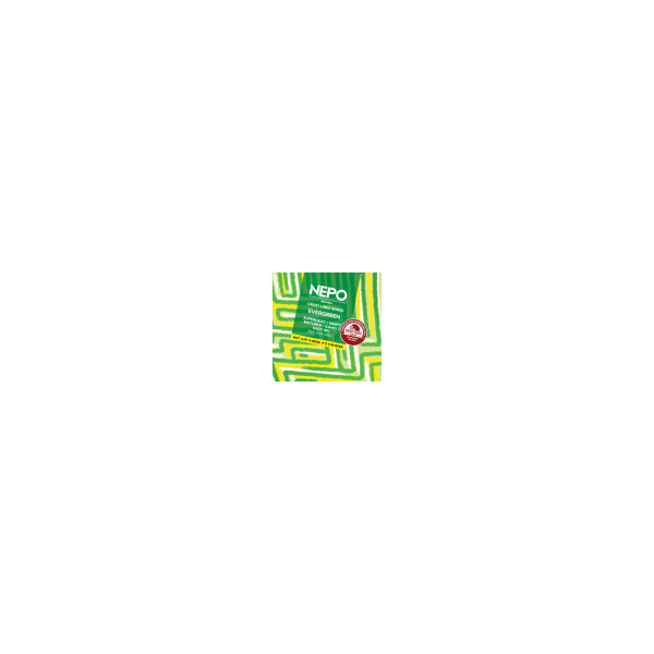 Crazy Lines Series: Evergreen