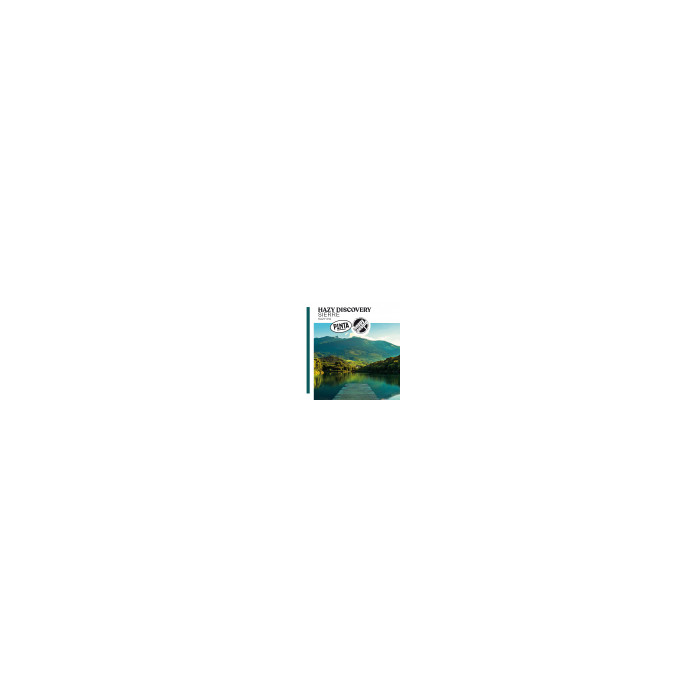 Hazy Discovery Sierre | 