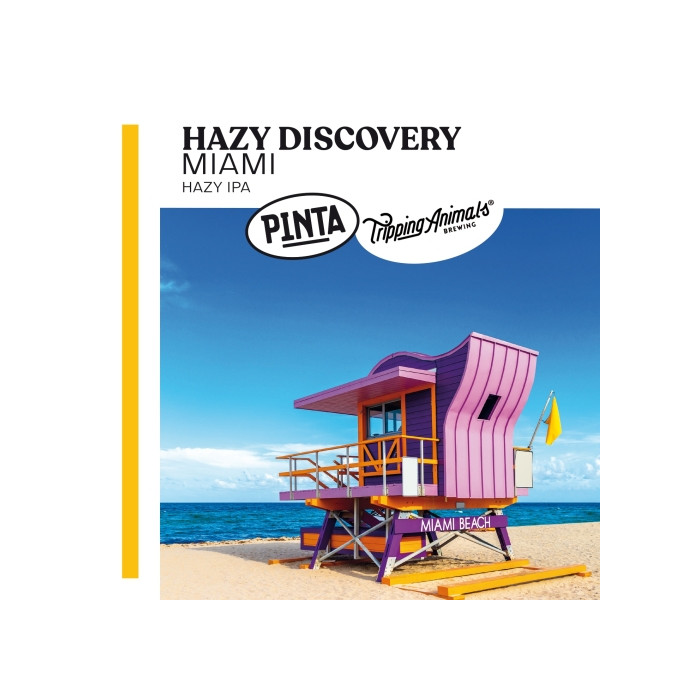 Hazy Discovery Miami | 