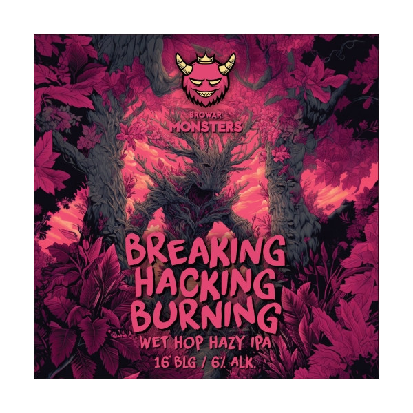 Breaking Hacking Burning